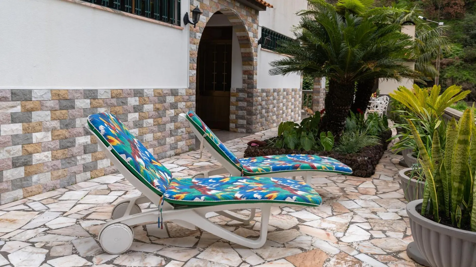 Madeira Inn Paradise ريبيرا برافا